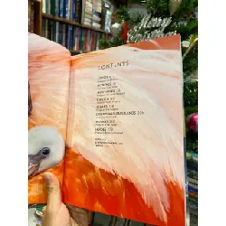 Planet Earth III - Matt Branson, Michael Gunton, Jonny Keeling 723413