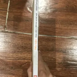 Tiểu luận Giao cảm Bề trái và bề mặt - Albert Camus (6) 570574