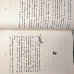 Sách chapters về cún - Bailey's story ( A dog's purpose novel) 470544