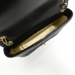 Túi xách vai Chanel AS3110 610666