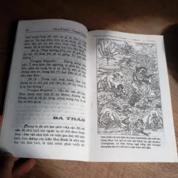 Trí Huệ Điên  763478