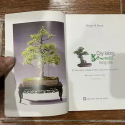 Cây kiểng Bonsai trong nhà (6) 715975