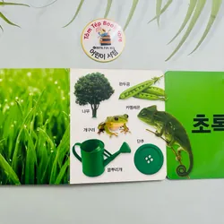 Set boardbook tiếng Hàn B34  1066253
