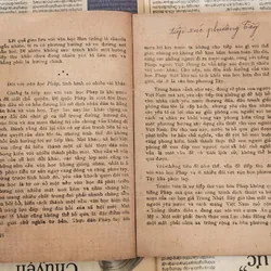 Giáo sư Lê Trí Viễn: Đặc điểm lịch sử văn học Việt Nam 711420