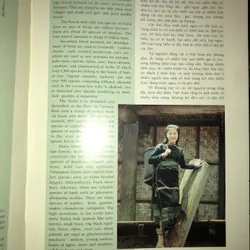 Có một Việt Nam như thế 721074