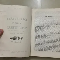 Dự Đoán Theo Tứ Trụ 592101