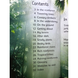 Rain Forests USBORNE BÌA CỨNG mới 85% Lucy Bowman HPB2707 NGOẠI VĂN 350776