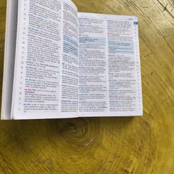 LONGMAN WORDWISE DICTIONARY- 2ND EDITION  602677