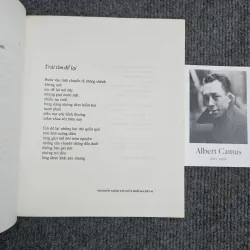 Em muốn giăng tay giữa trời mà hét 990990