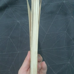 Lưu Thiếu Kỳ & Ân oán Trung Nam Hải 498939