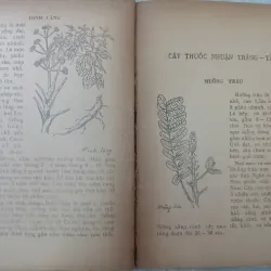 CÂY THUỐC GIA ĐÌNH 588890