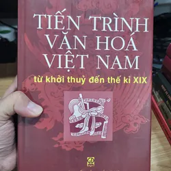 Tiến trình văn hóa Việt Nam từ khởi thủy đến thế kỷ 20