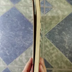 Sơ lược tiểu sử các nhân vật lịch sử có công với đất phương Nam - Nguyễn Hạnh 700459