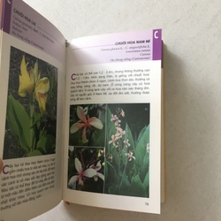 Từ Điển Tranh Về Các Loài Hoa - Lê Quang Long chủ biên 545524