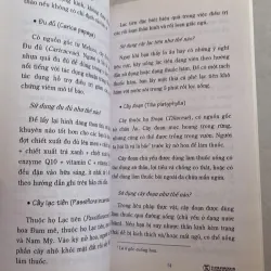 Chữa suy nhược thần kinh bằng các liệu pháp đơn giản từ thiên nhiên 779940