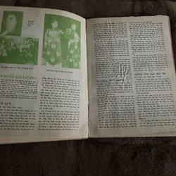 Văn hóa Việt Nam tổng hợp 1989, 1995 674745