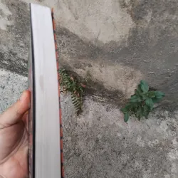 Chuyện tình giai nhân của Trương Ái Linh  1006725