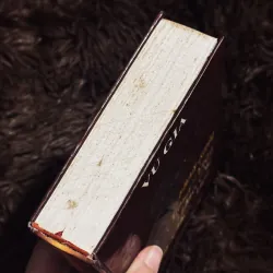 Tiếng Việt, Báo Chí và Thơ Mới - Phan Khôi 932156