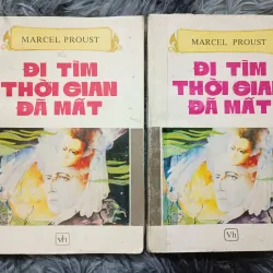 Đi tìm thời gian đã mất (Proust) 934466