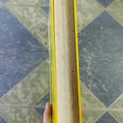 Tiếng chim hót trong bụi mận gai - Côlin Măccalâu 700351