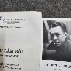 Đời làm bồi - Oyono 1004974