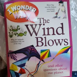 Combo 10 quyển I wonder why 733565