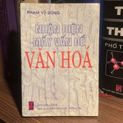 Nhận diện mấy vấn đề văn hoá-Phạm Vũ Dũng 195302