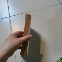 Đêm về lá rụng 477150