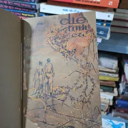 Diễm Tình Ca 712556