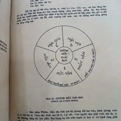HẢI THƯỢNG Y TÔNG TÂM LĨNH (TẬP 2) - LÊ HỮU TRÁC 754282