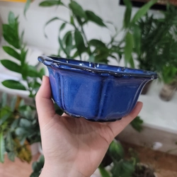 Chậu Sứ Trồng Cây màu Xanh Ngọc - [TẶNG] Khách Hàng Mua đồ cùa Shop, 1 Quà /đơn