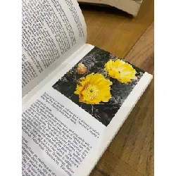 Simon & Schuster’s Guide to Cacti and Succulents 563535