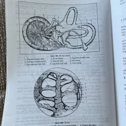Giải phẫu sinh lý à sách y, khổ lớn; 314 trang  1025091