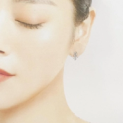 PT900 Bông tai kim cương 0.06CT - Hàng hiệu Chính hãng 866370