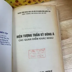 Hiện Tượng Thần Kỳ Đông Á - Các Quan Điểm Khác Nhau 927560