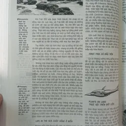 Từ điển bách khoa dành cho thanh thiếu niên 708109