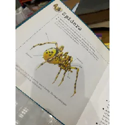 Bulletpoints about Animals 563589
