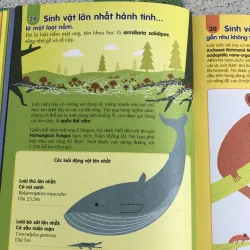 Combo 2 cuống 100k  1031149