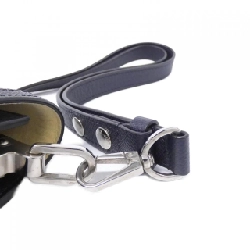 Túi xách vai Louis Vuitton Dauphine MINI M55454 613534