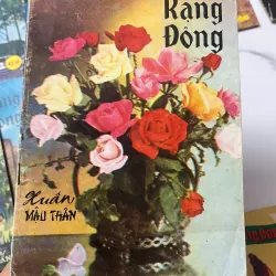 Tạp chí Rạng Đông (Trọn bộ/Số lượng lớn) - Hội Thánh Tin Lành Việt Nam 798713