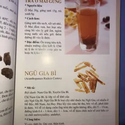 Nguyên liệu đông dược thường thức toàn tập  686993