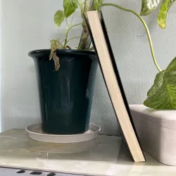 Chatgpt thực chiến 746448