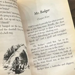 The Wind in the Willows (Scholastic Junior Classics) 972838