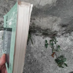 Nhà nho tài tử và văn học Việt Nam GS Trần Ngọc Vương  1036730
