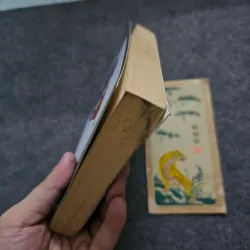 Around the world in eighty days and five weeks in a balloon 747355