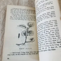 TRỒNG VÀ SỬ DỤNG CÂY THUỐC Ở TRƯỜNG PHỔ THÔNG  956952