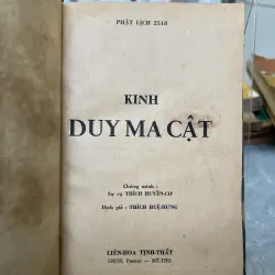 KINH DUY MA CẬT - THÍCH HUỆ HƯNG 753261