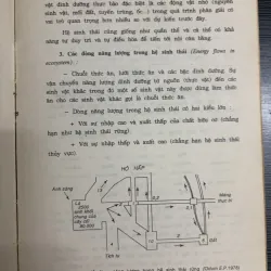 Sinh thái và môi trường 925697