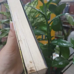 THỜI XA VẮNG - LÊ LỰU 1033457