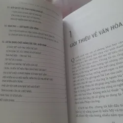 Fons Trompennaars, Charles Hampden, Turner - CHINH PHỤC CÁC ĐỢT SÓNG VĂN HÓA 778807